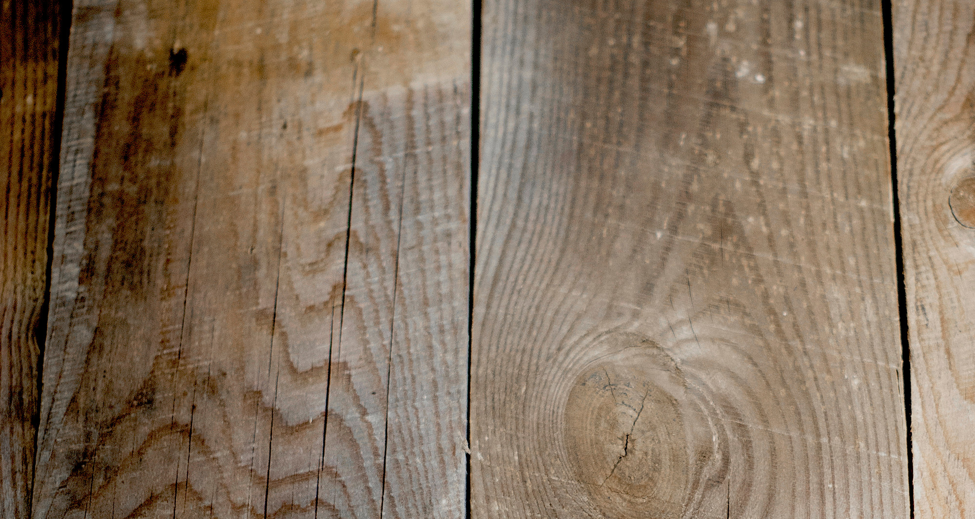 Текстура дерева — фон бренда